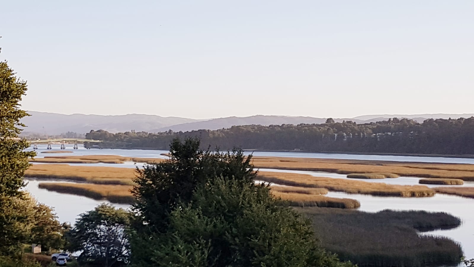 WhatsApp Image 2024-12-13 at 13.32.18fgfs